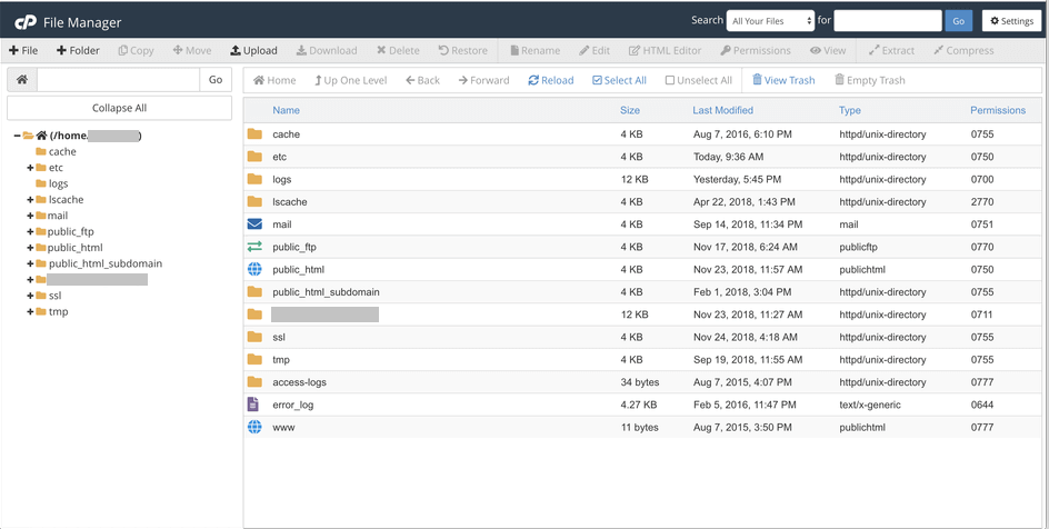 cpanel file manager download folder