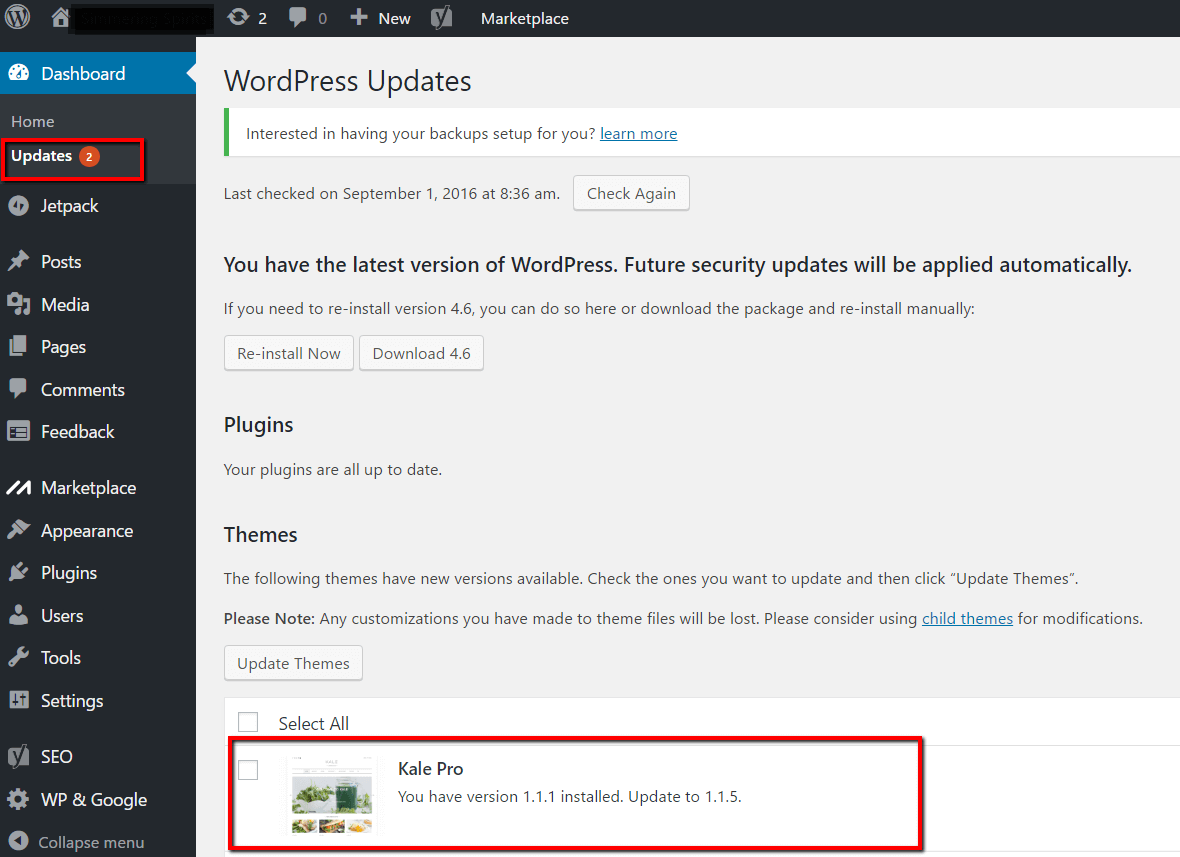 wordpress update option