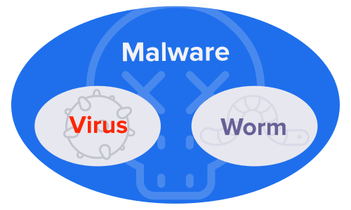 computer virus vs worm diagram