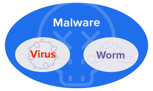 computer worm diagram